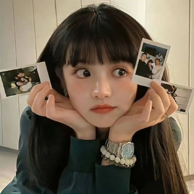 没人瞭波斯猫